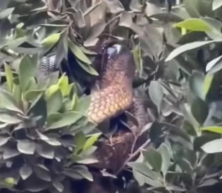 782b142c 492d 4895 a622 06be01bd125c file.jpg