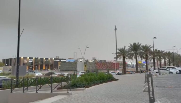 7a6f2836 b5d6 4850 bc65 9bd9a8558b75 file.jpg