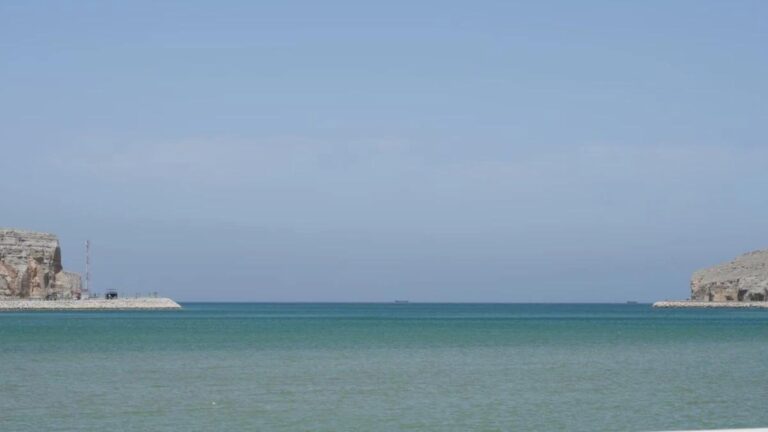 7ce28fdd 4b60 4d65 9d19 dcfcd9bb8ff0 file.jpg