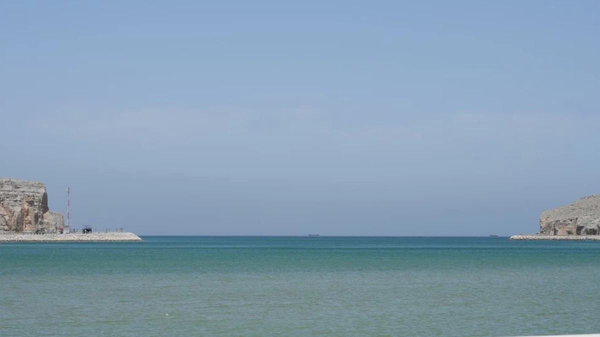 7ce28fdd 4b60 4d65 9d19 dcfcd9bb8ff0 file.jpg