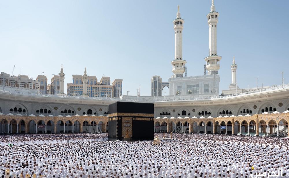 7cf901b8 35de 4867 9d0d 03b461376380 file.jpg