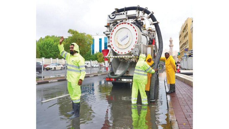 7ff1295c 668a 4442 a97e 9bb2684b4f2d file.jpg