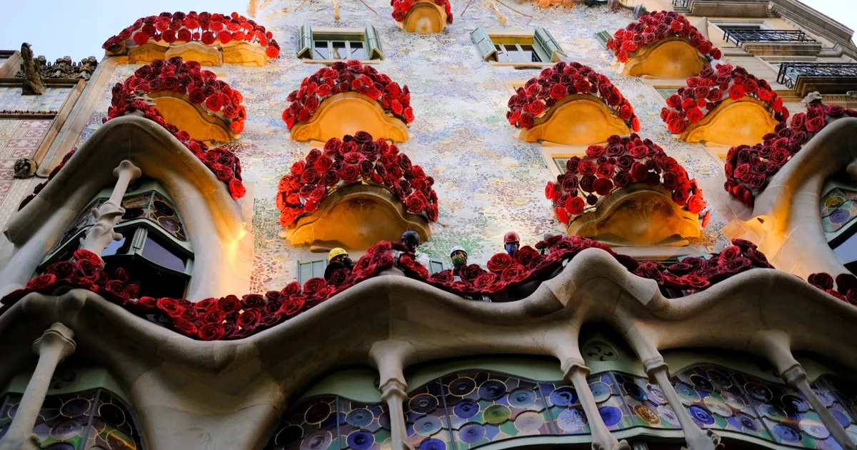 80a6729e fcbd 4925 a7d0 28a2eb4f6509 file.webp