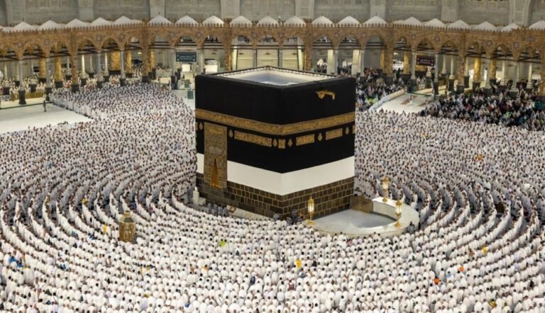 81382e44 1039 48bb b85e 50e64e2b8a4d file.jpg