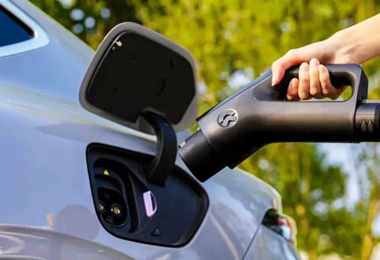 81e0f53b a09a 4138 9b23 4af1226fe40a zawta.webp