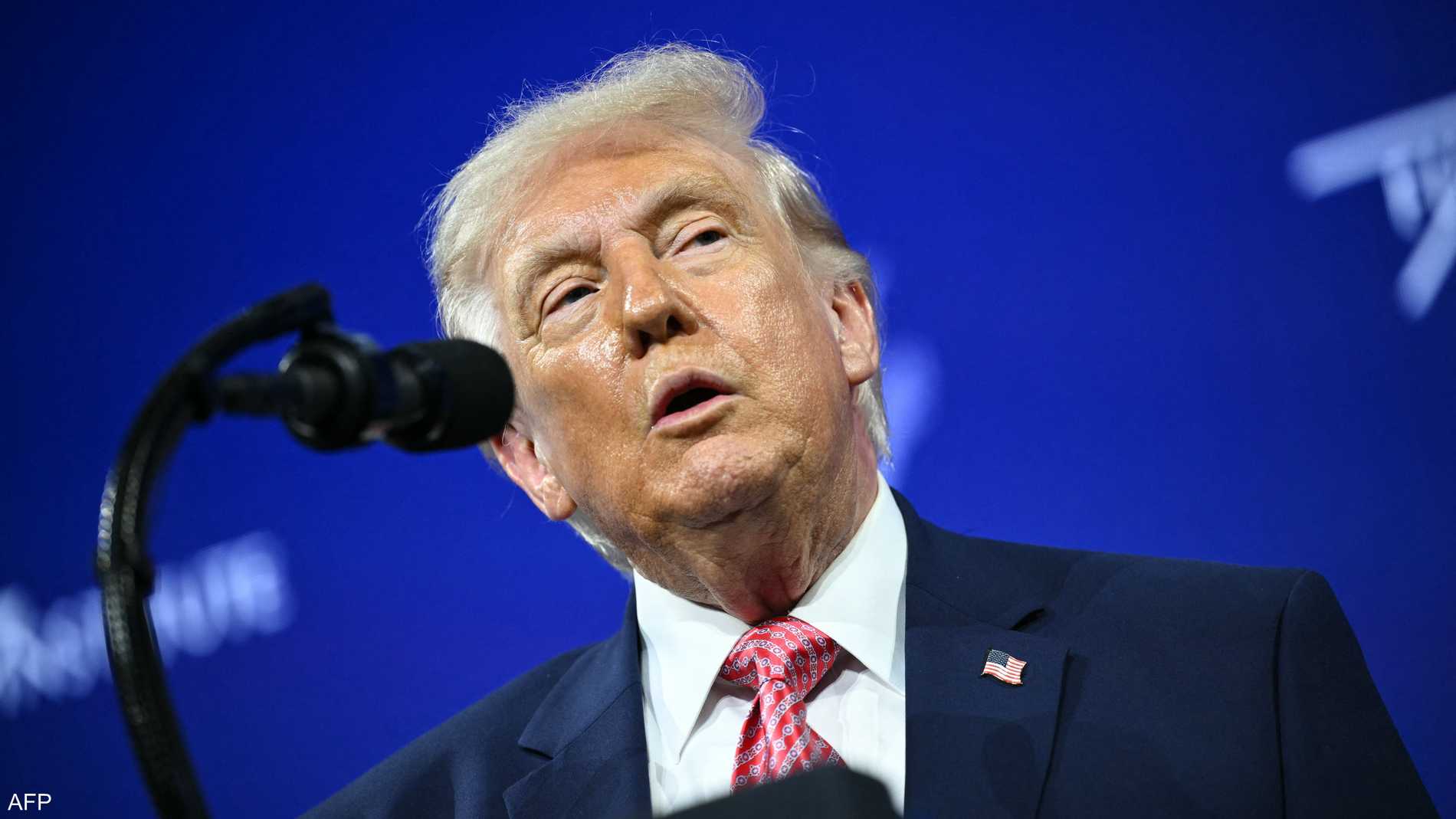 83efd927 da1b 4302 ac72 b9131cb13e04 file.jpeg