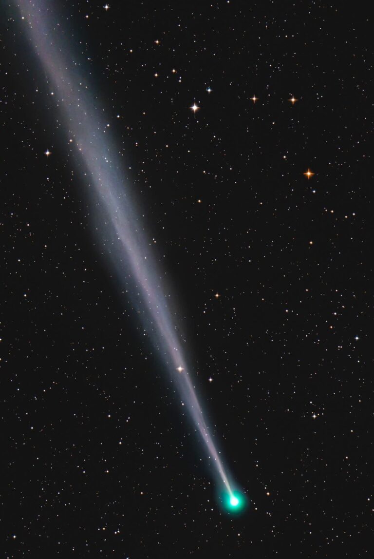 86fe8c03 ac0f 4da4 a31d 338e12e36822 file.jpg