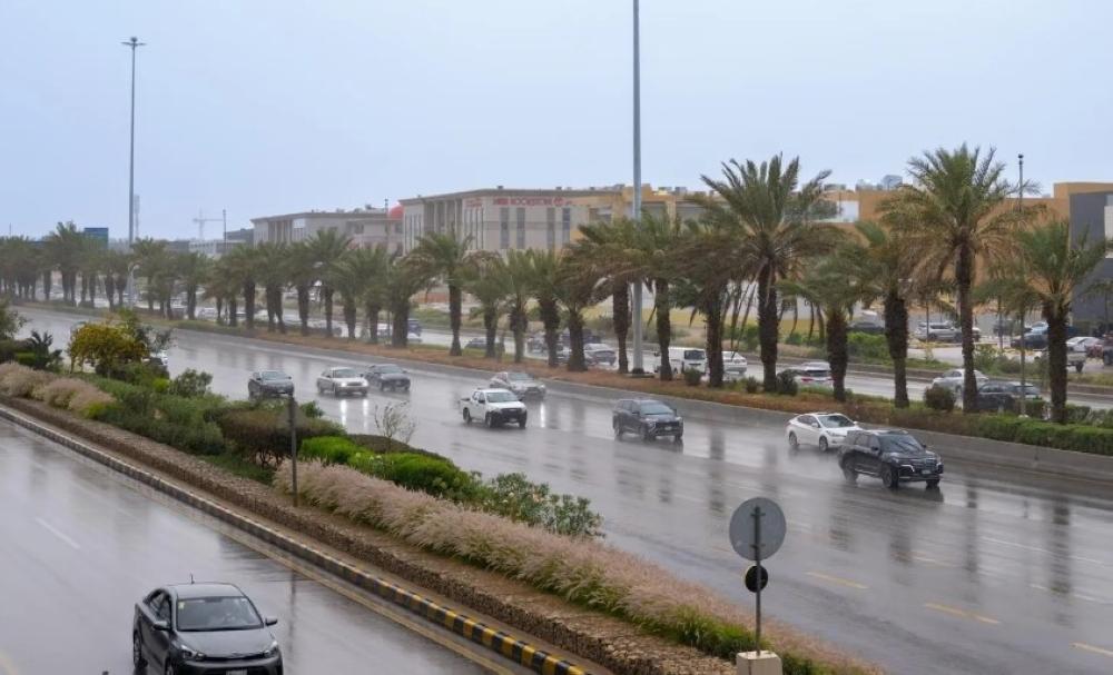 89772f77 b84c 4542 a490 65b382152818 file.jpg