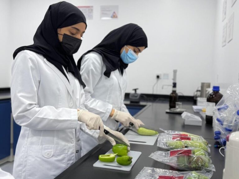 8aa445a2 05aa 4557 82c8 57a622310c42 file.jpg