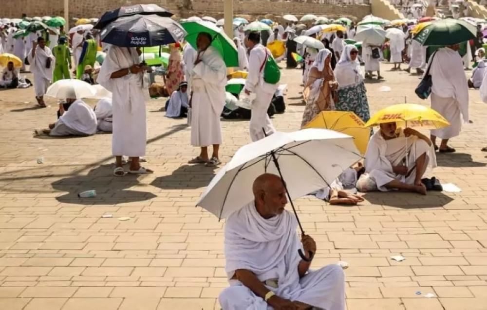 8c956088 c24c 4adc 83ae 971ea10687d0 file.jpg