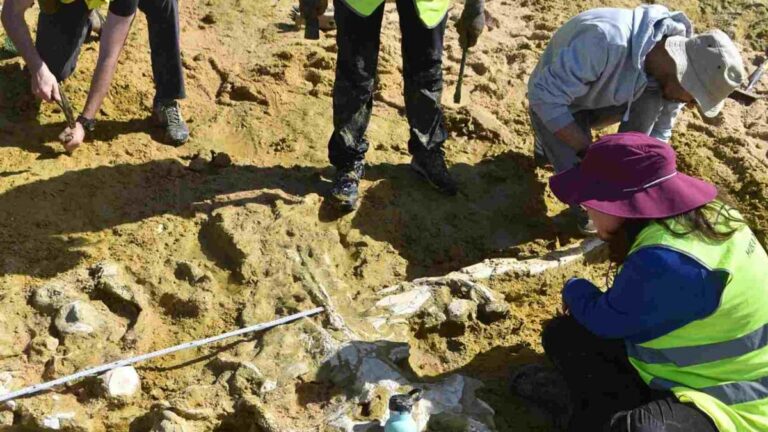 8f9d79ec 6b08 4a07 8c76 bede494d1d82 file.jpg