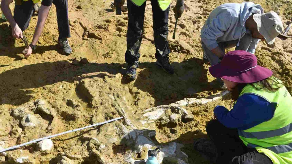 8f9d79ec 6b08 4a07 8c76 bede494d1d82 file.jpg