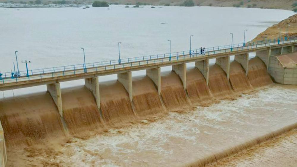 912b4a24 ccea 40b4 a640 cfb52a9f8821 file.jpg