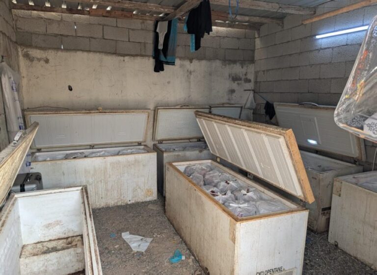 92313efc a600 4602 9810 5def8081bd1b file.jpg