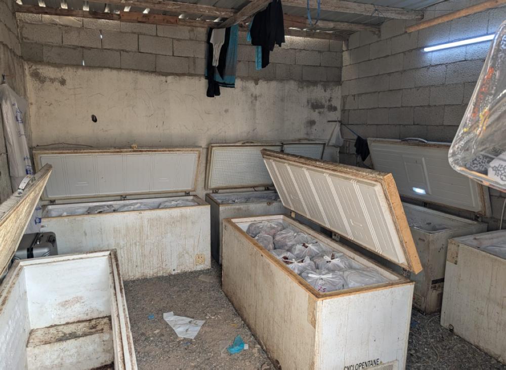 92313efc a600 4602 9810 5def8081bd1b file.jpg