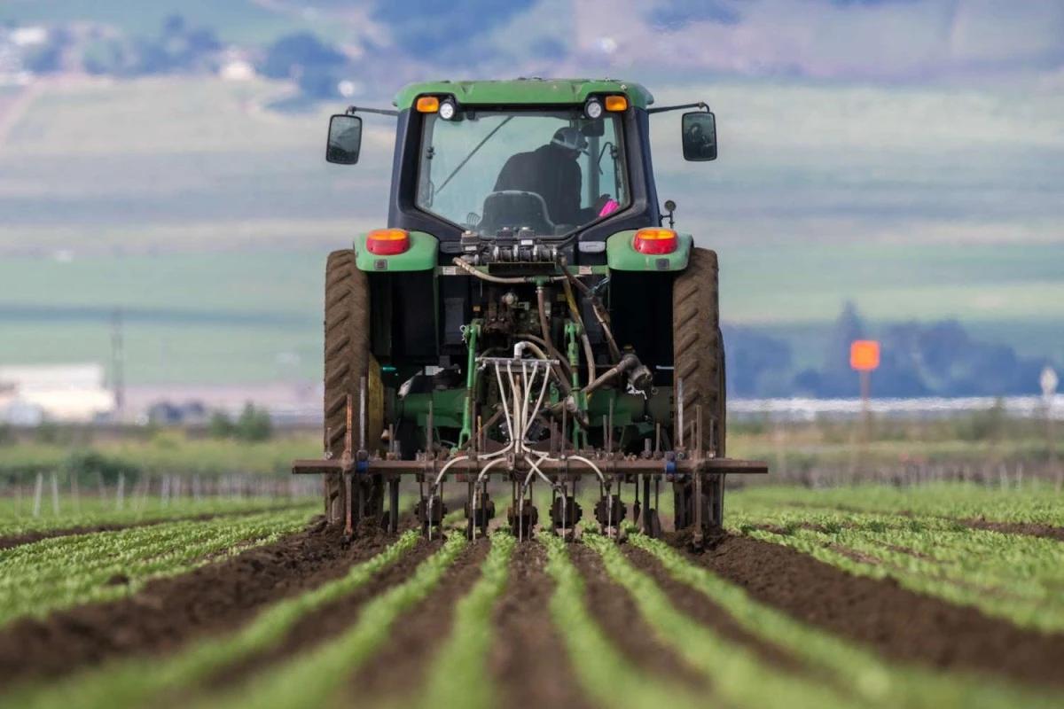 94651b5e d952 49ad 8d73 8b12d539eb0d file.jpg