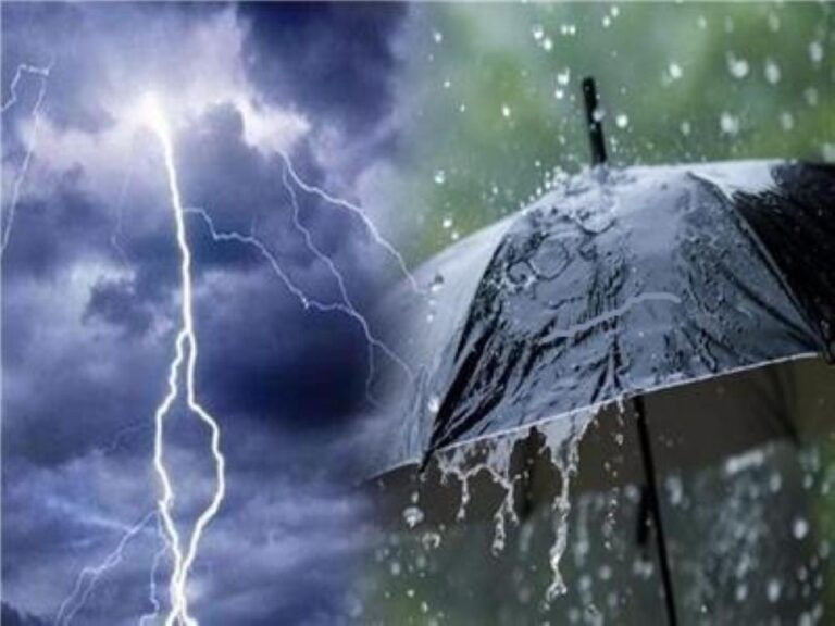 950f266c 2431 4b6e afd0 2f5ac91d7117 file.jpg