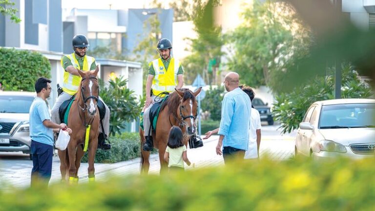 95384efa 79b4 4d3c ac7c 8b2440dcff08 file.jpg