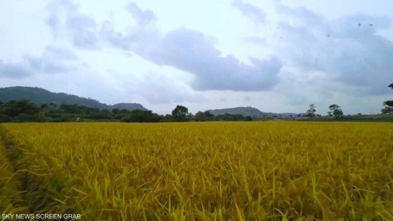 9712bd56 816c 4ea0 885a 4d7e8e764751 file.jpeg