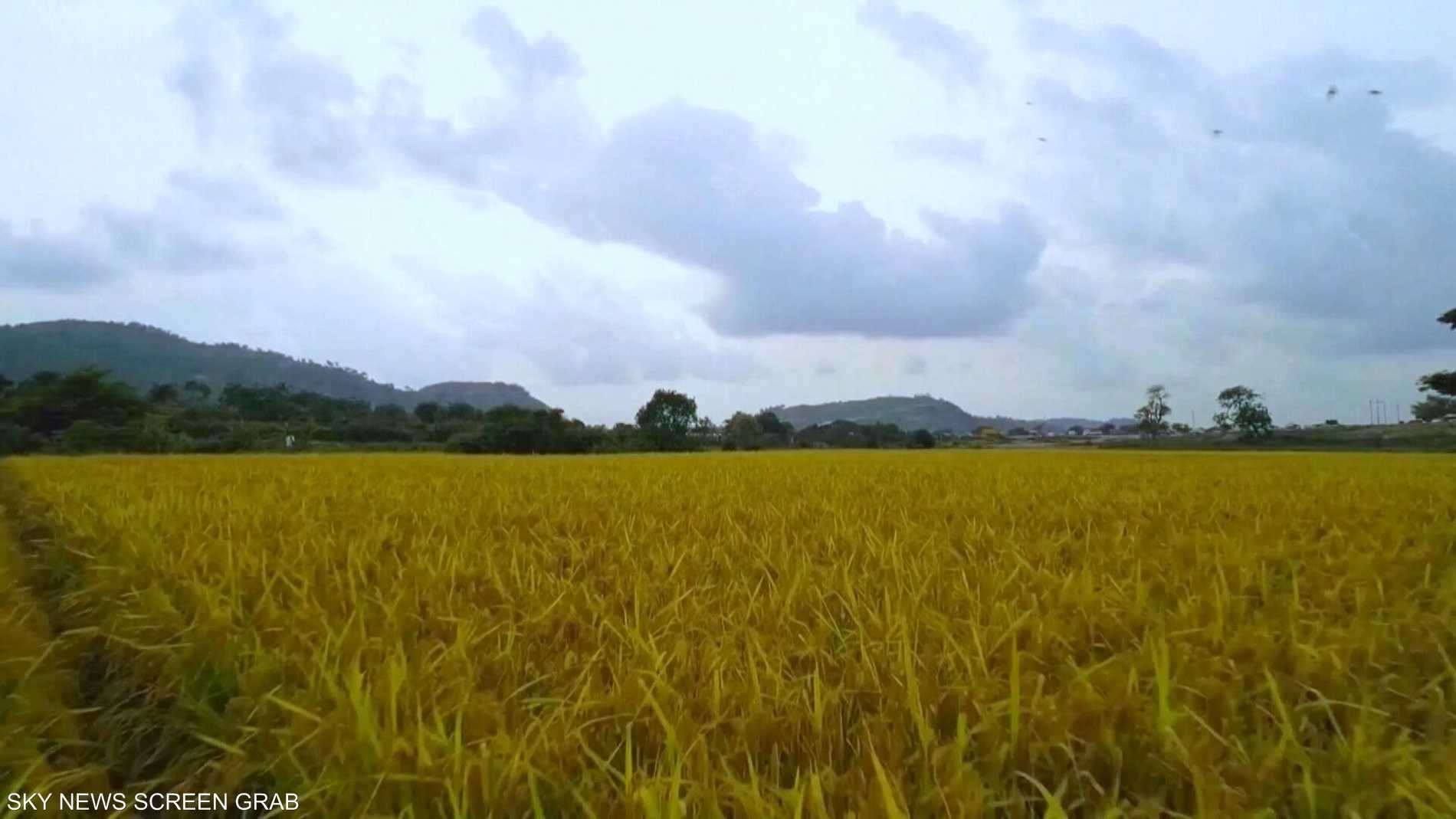 9712bd56 816c 4ea0 885a 4d7e8e764751 file.jpeg