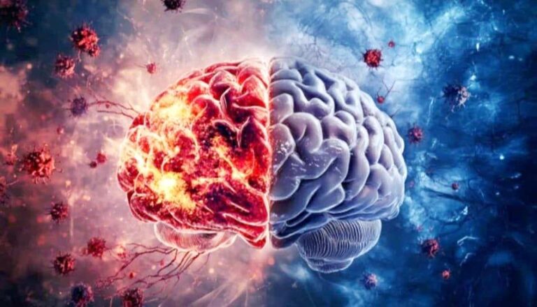 97f7a65d a230 48ea 86e5 036c512d8b3c file.jpg