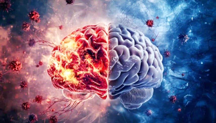 97f7a65d a230 48ea 86e5 036c512d8b3c file.jpg