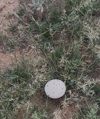 9822faf2 01f6 4e97 856b cb18fb12ac86 file.jpg