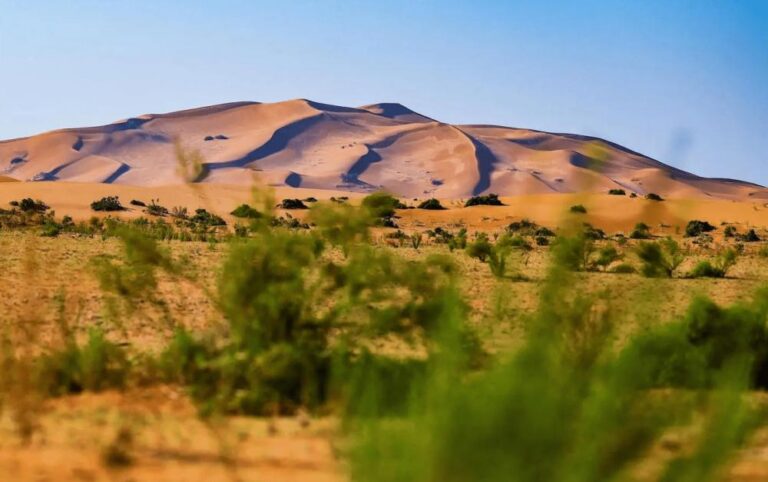 992e60ad c3b3 4d6e b1f3 3bdb2ced9470 file.jpg