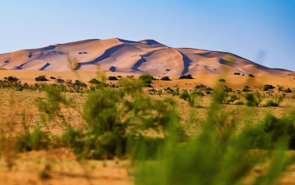 992e60ad c3b3 4d6e b1f3 3bdb2ced9470 file.jpg