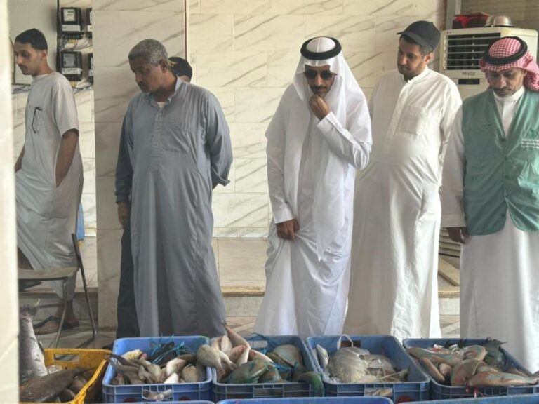 99805f06 2085 4266 af15 de6398cbf551 file.jpg