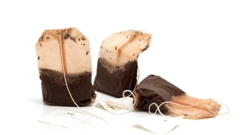 9a7630c2 a13f 43b2 aaf0 829da68c5005 file.jpg