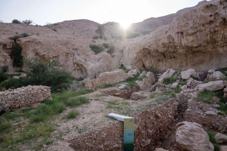 9bd13d24 4df5 4b96 ba82 7918a984bca1 file.jpg