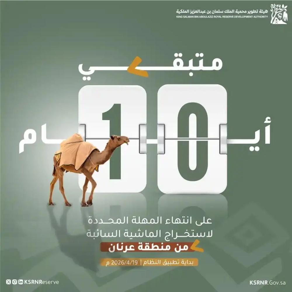 9c36dfca 60ca 42d9 a48d 156c06892f6f file.jpg