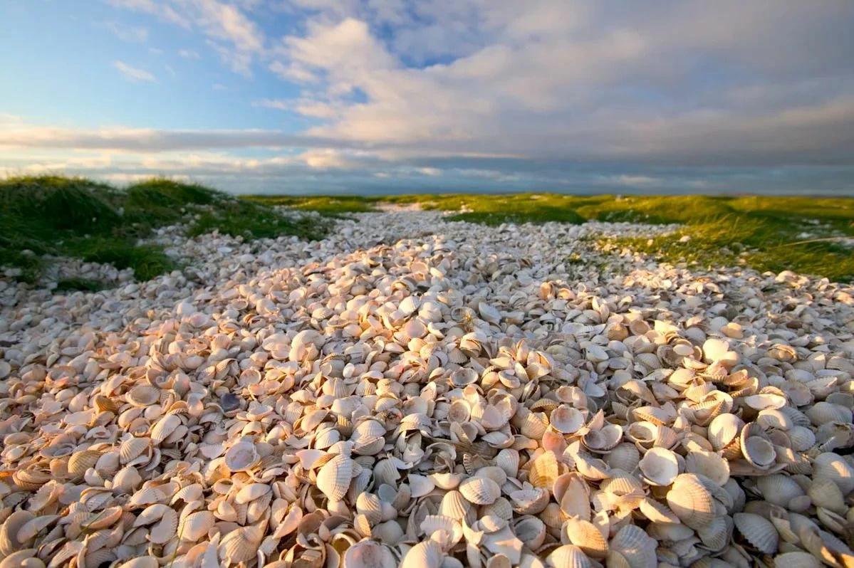 9c399039 145d 4e32 8e36 b4d9f92cb4c9 file.jpg