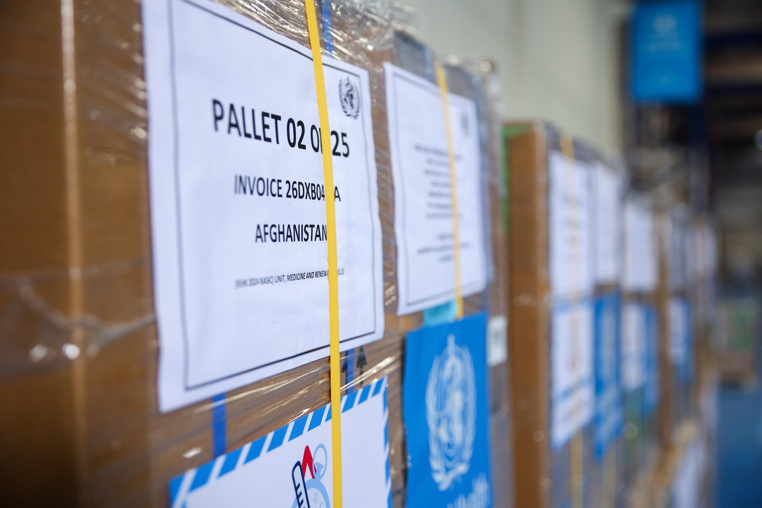 9e384c65 c5a5 4339 8c58 78991e4e644a file.jpg