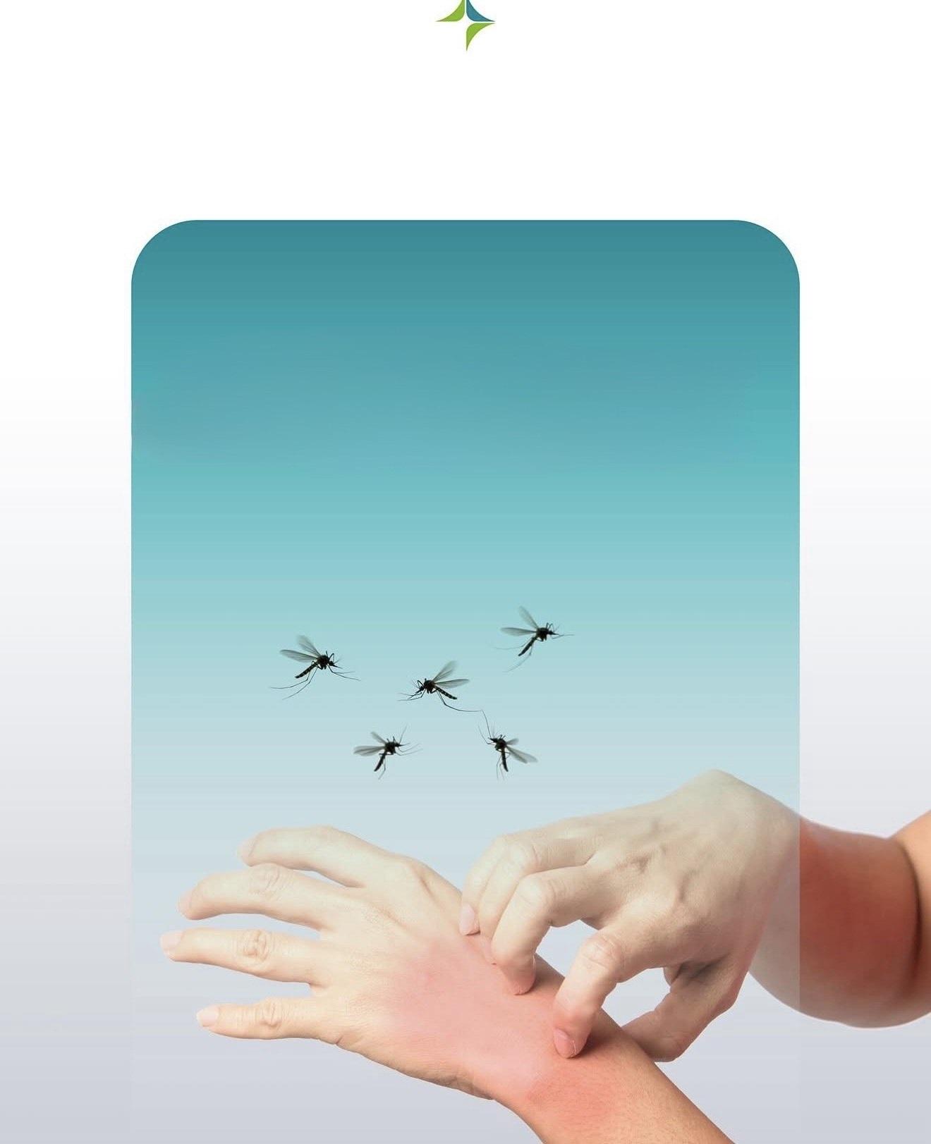 9e60971a 5e77 4853 81f8 b09df56e3e56 file.jpg