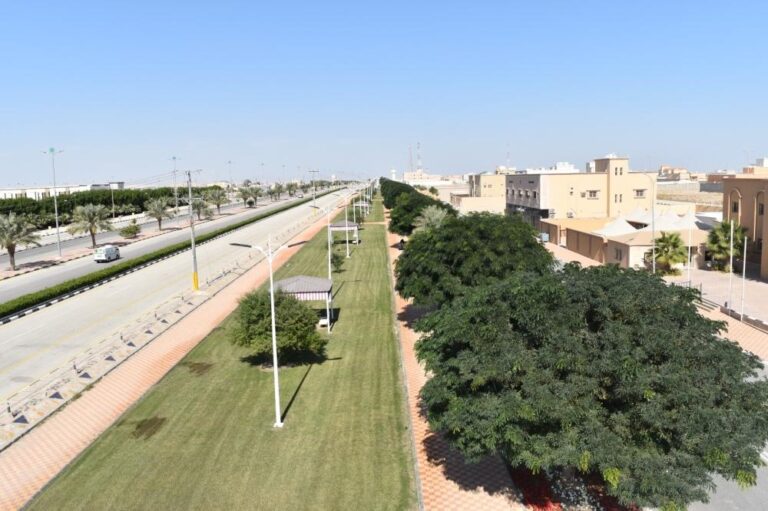 A41bda2c 59d2 4247 9ab6 7940c72a356b file.jpg