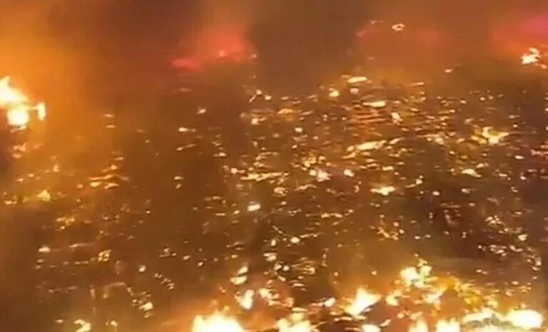 A4bf4b46 823e 4f2b 8e59 6d0747179ae1 file.jpg