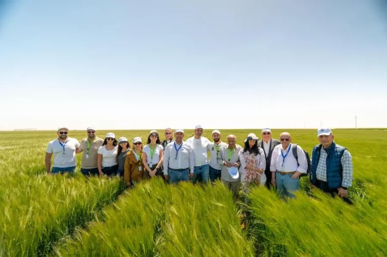 A4f388d3 4fbb 4d0a a956 5f31299b466a zawta.webp