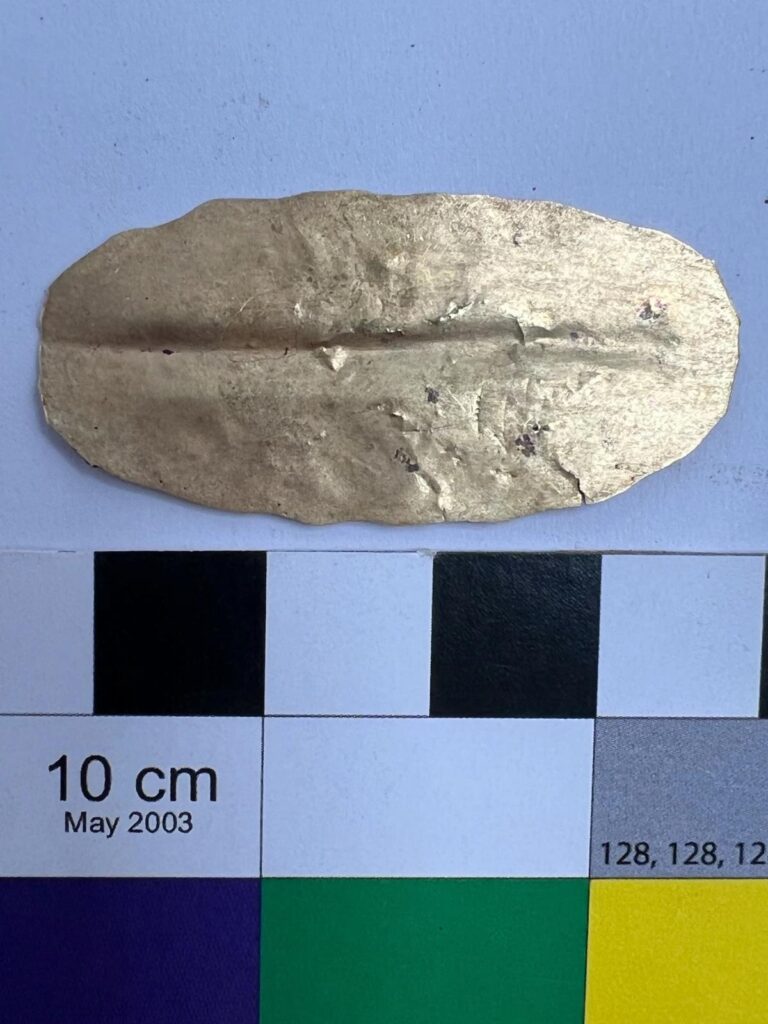 A5cf28d7 14af 411f 980d 45212a9632f1 file.jpg