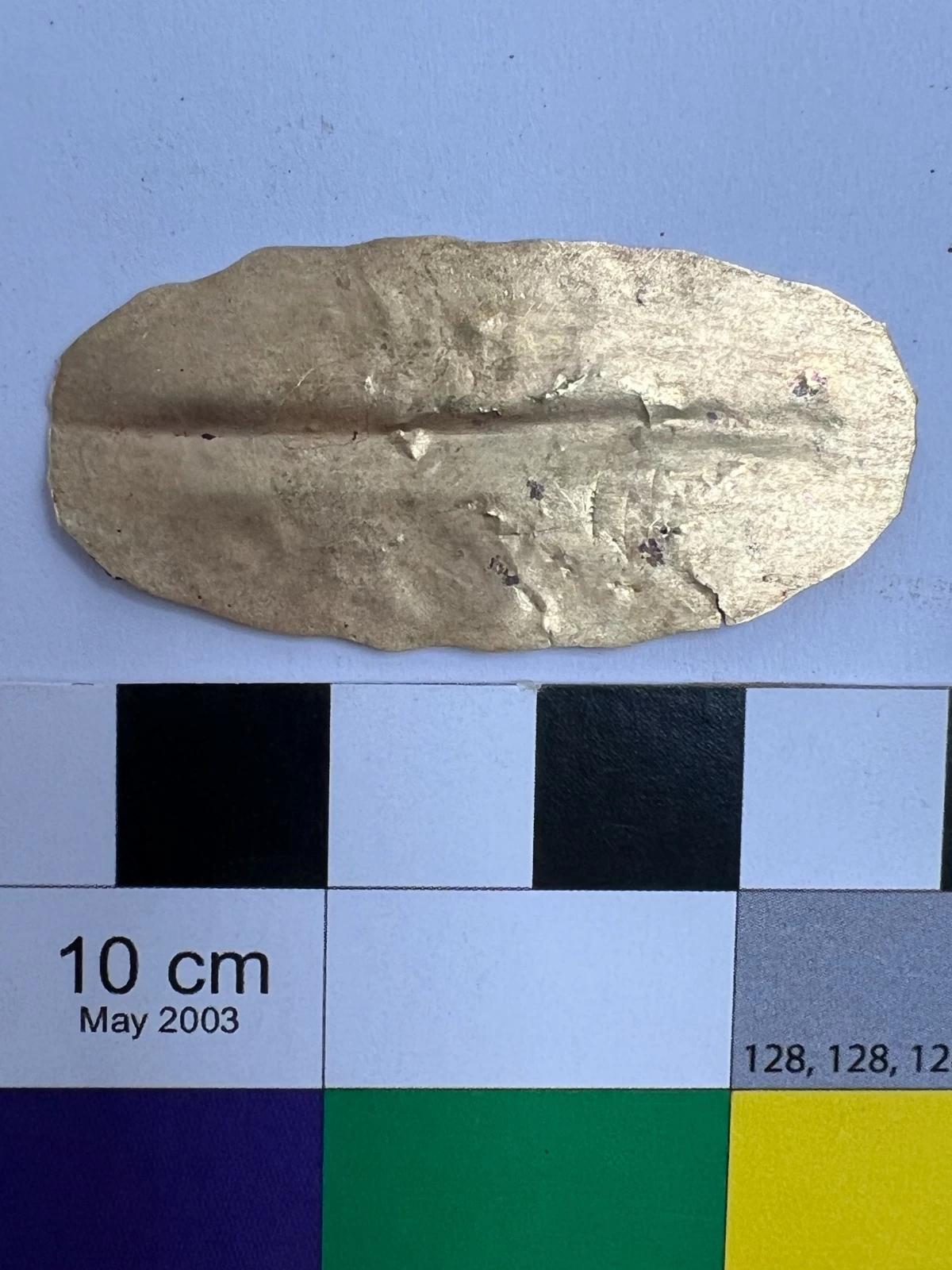 A5cf28d7 14af 411f 980d 45212a9632f1 file.jpg