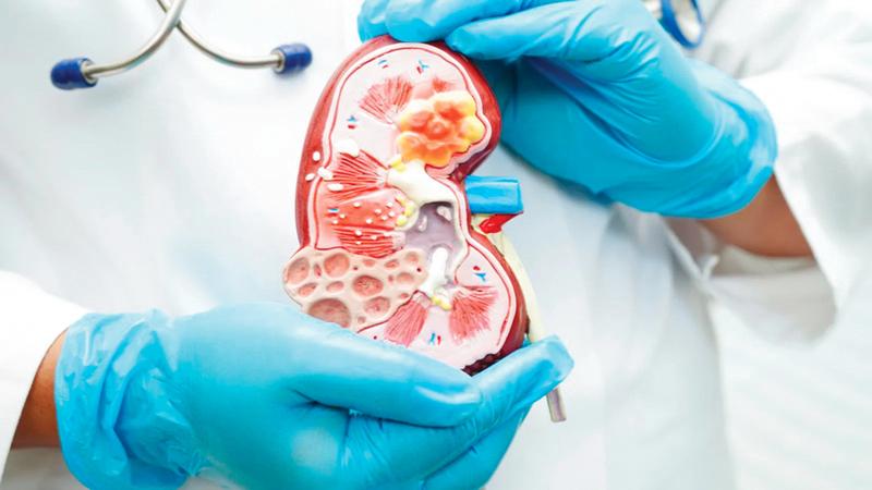 A70c650f 458e 4485 a4c9 5ad8580c57c1 file.jpg