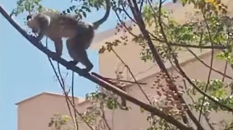 A760fafb 922b 48f8 a6ef 0b466d986ad5 file.jpg