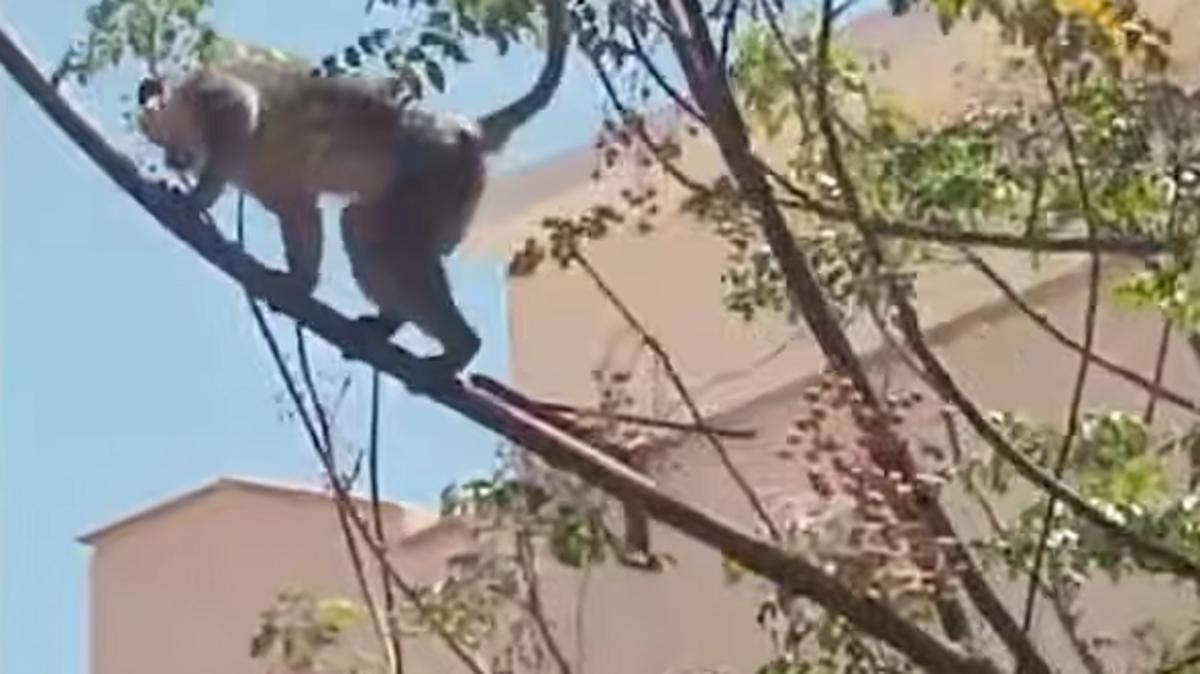 A760fafb 922b 48f8 a6ef 0b466d986ad5 file.jpg