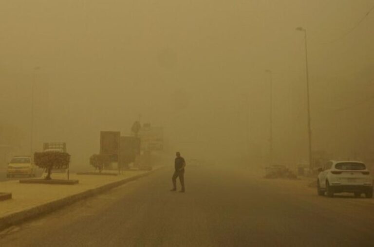 A84e058d 5fcb 48ed a828 f6e722722541 file.jpg