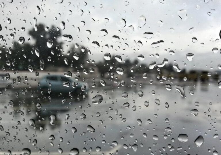 Ab83371f 75e2 4f34 9f91 0426a434aa74 file.jpg