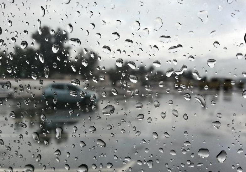 Ab83371f 75e2 4f34 9f91 0426a434aa74 file.jpg