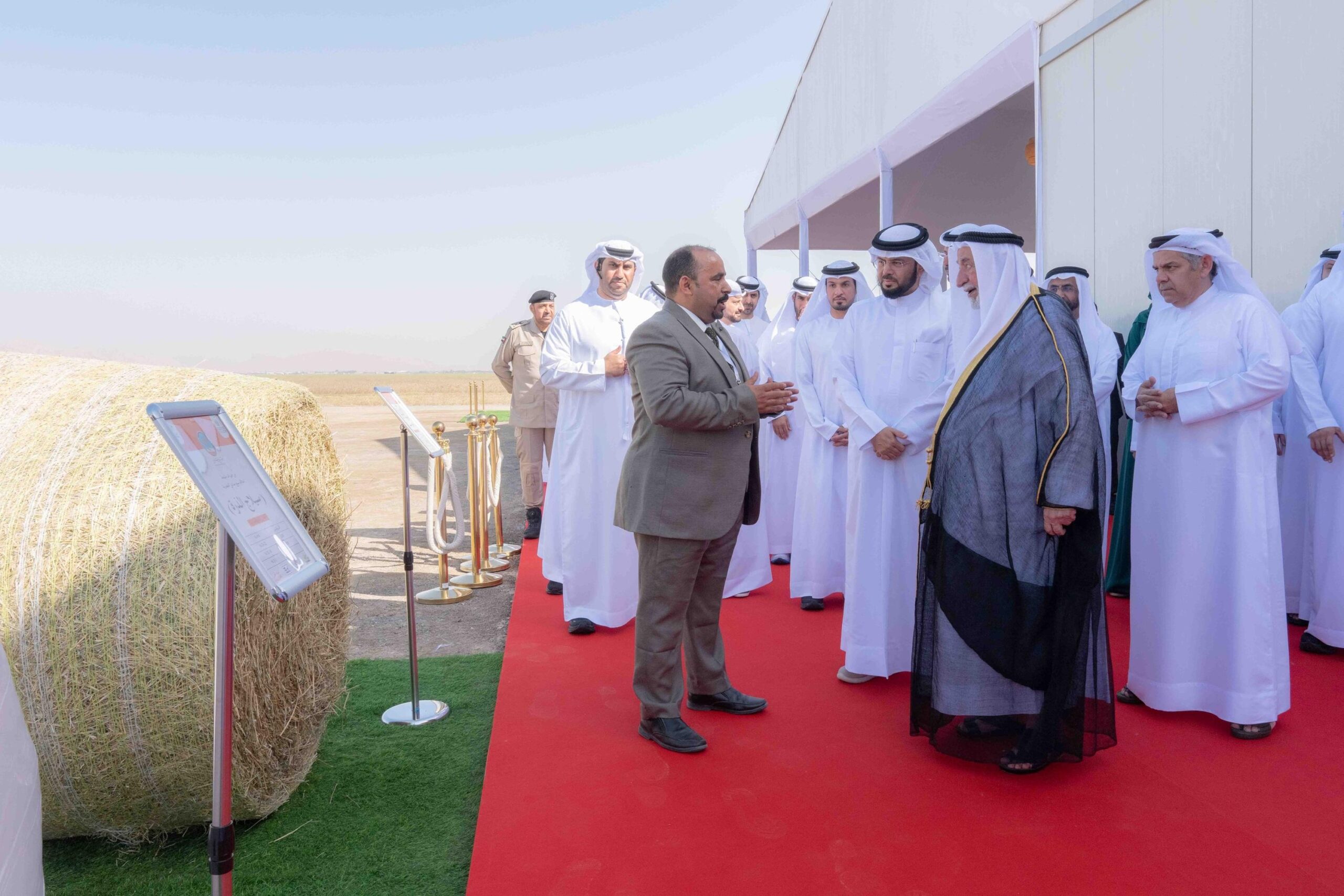 Abd4fd23 e73a 47f3 acbb bb7ac926c125 file.jpg