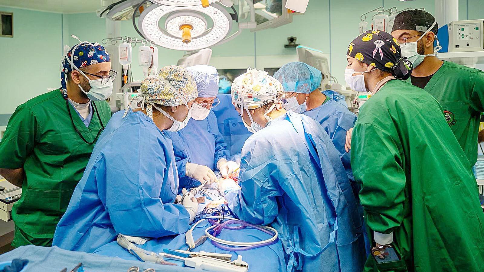 Ae1f3503 8c17 4760 8bf5 be5276ee63d3 file.jpg