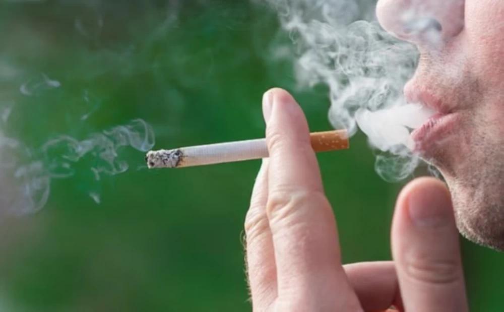 Aeba900d 2354 4e91 b874 109184a6519b file.jpg